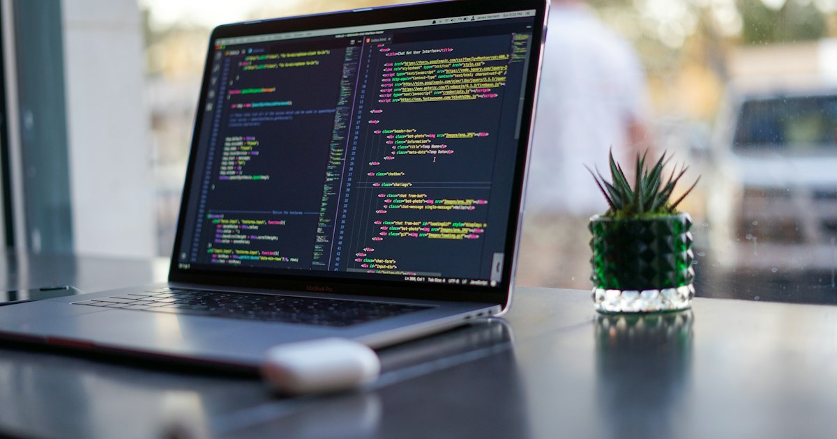 Laptop showing code next to a plant